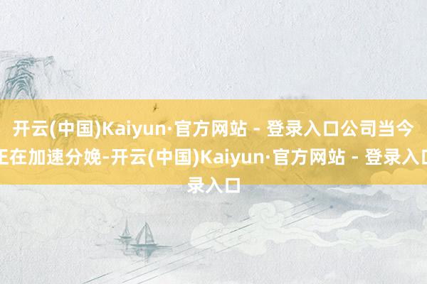 开云(中国)Kaiyun·官方网站 - 登录入口公司当今正在加速分娩-开云(中国)Kaiyun·官方网站 - 登录入口