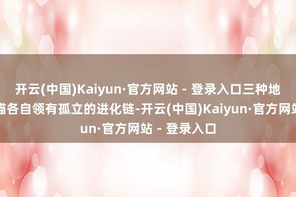 开云(中国)Kaiyun·官方网站 - 登录入口三种地区形态的喵喵各自领有孤立的进化链-开云(中国)Kaiyun·官方网站 - 登录入口